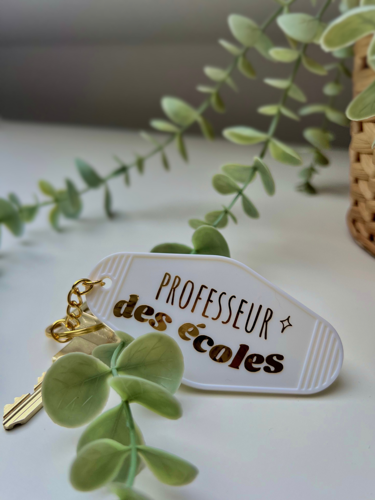 🔑 Porte-clés "Professeur des écoles"