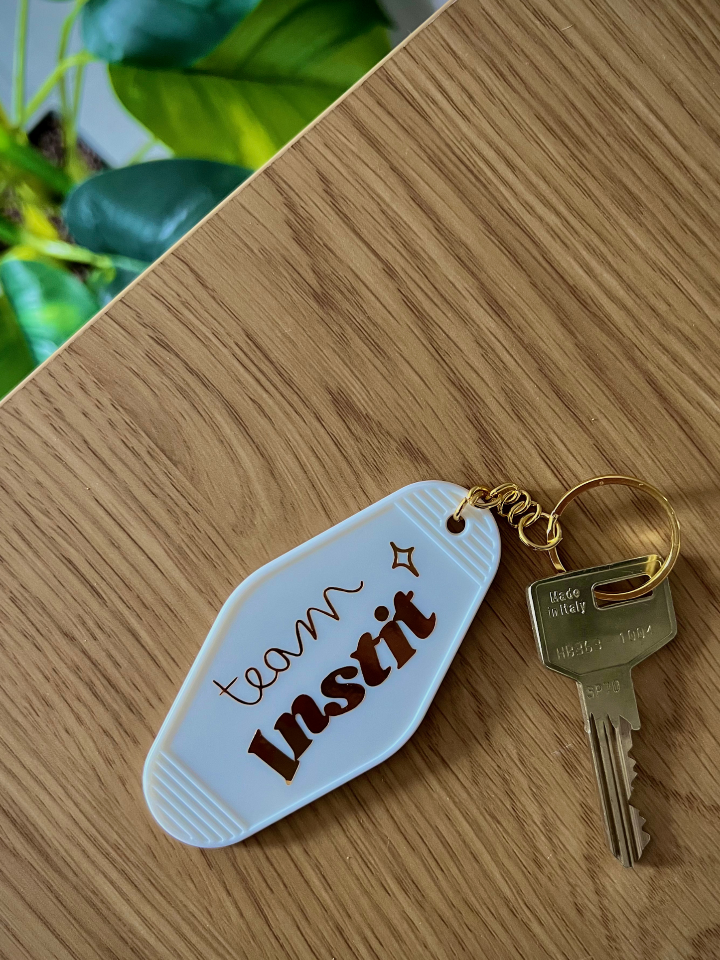 🔑 Porte-clés "Team Instit"