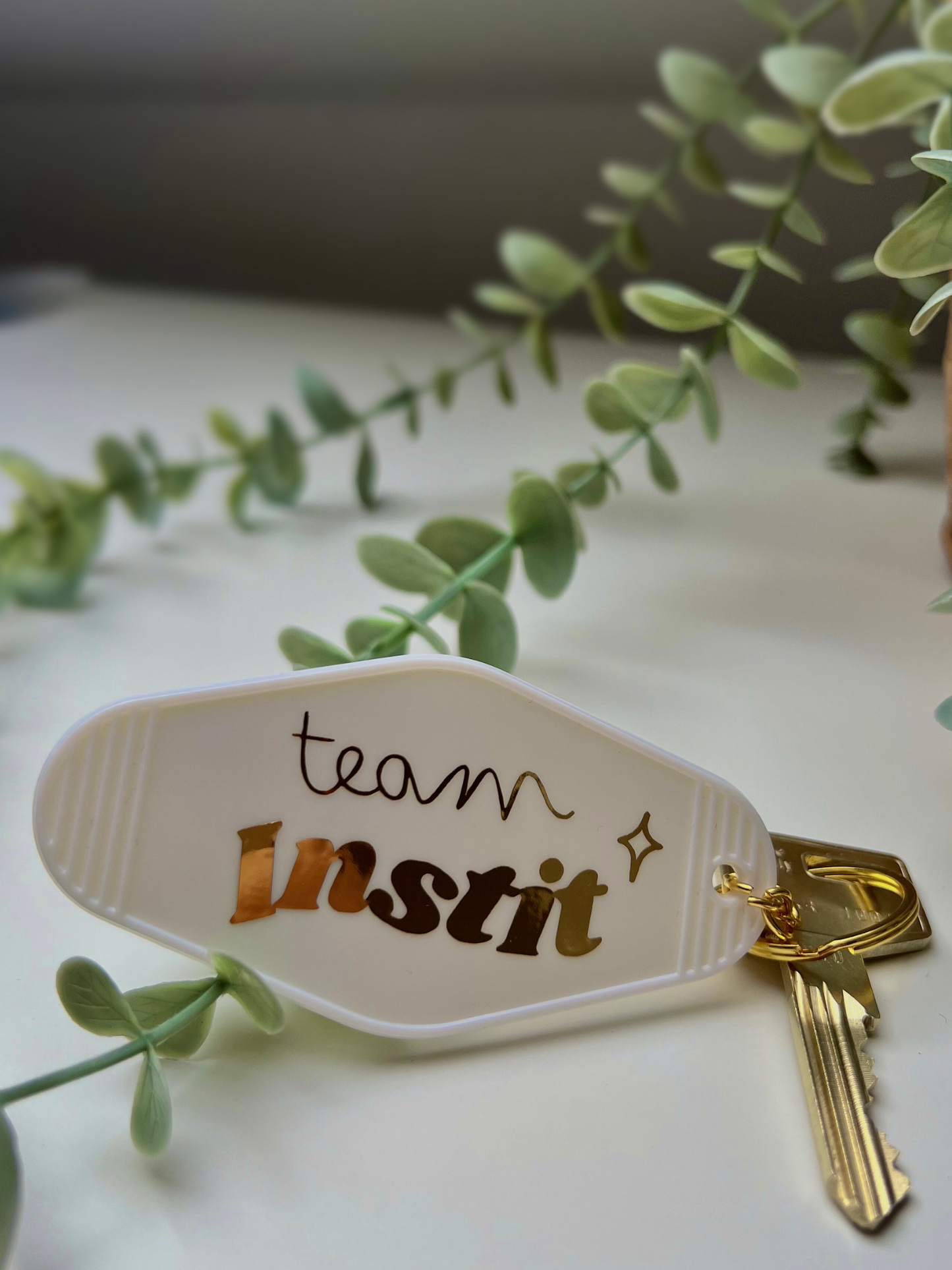 🔑 Porte-clés "Team Instit"