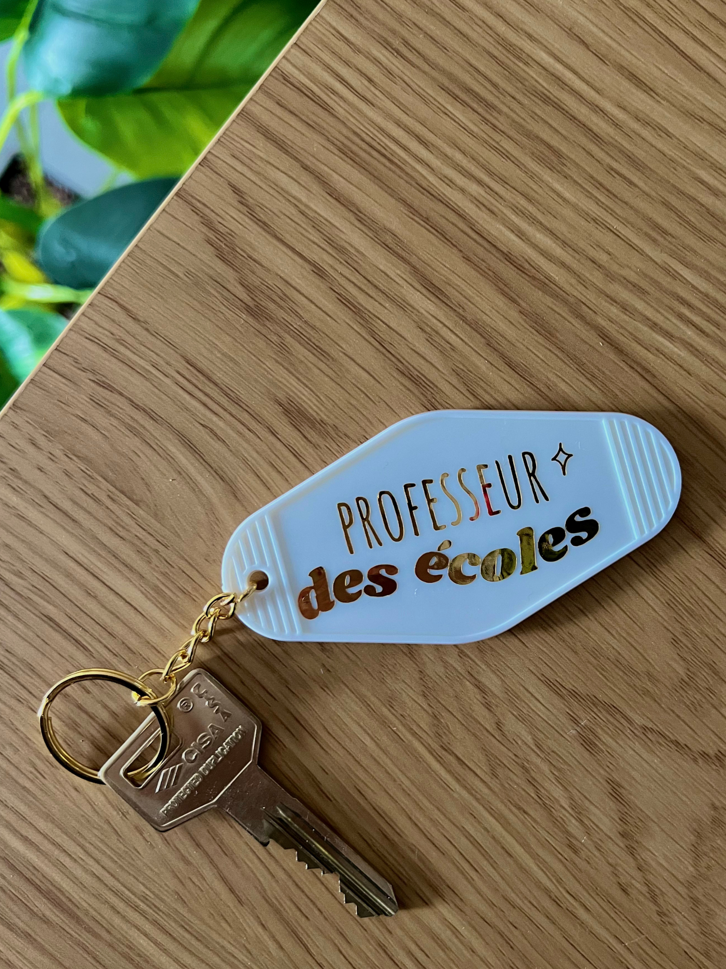🔑 Porte-clés "Professeur des écoles"