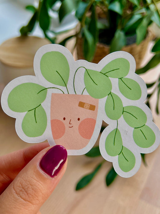 Gros sticker " plante chevelue "